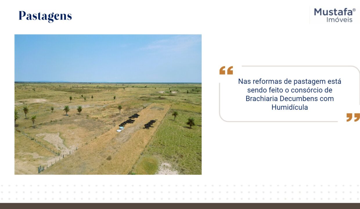 Slide 16 of Fazenda Boa Vista