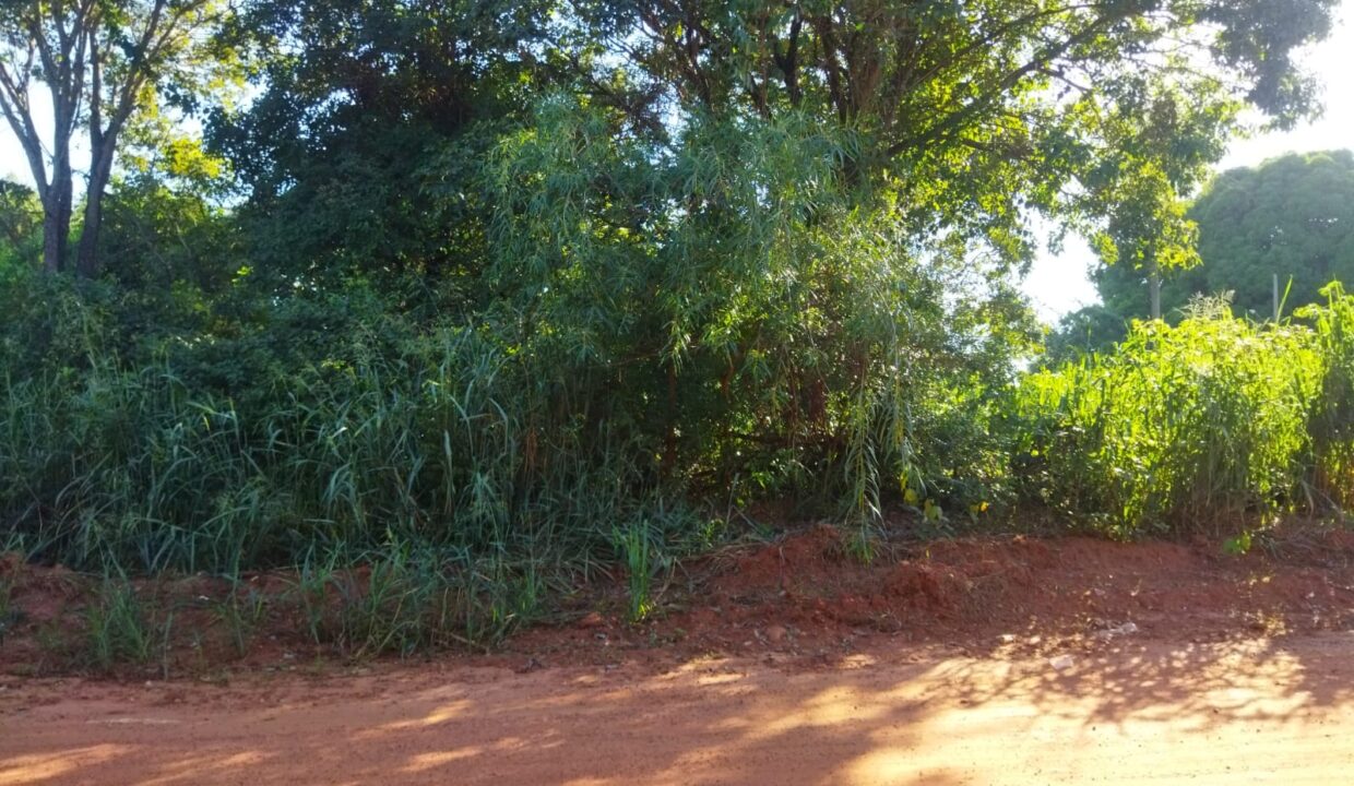 WhatsApp Image 2024-04-25 at 09.26.31 (2)