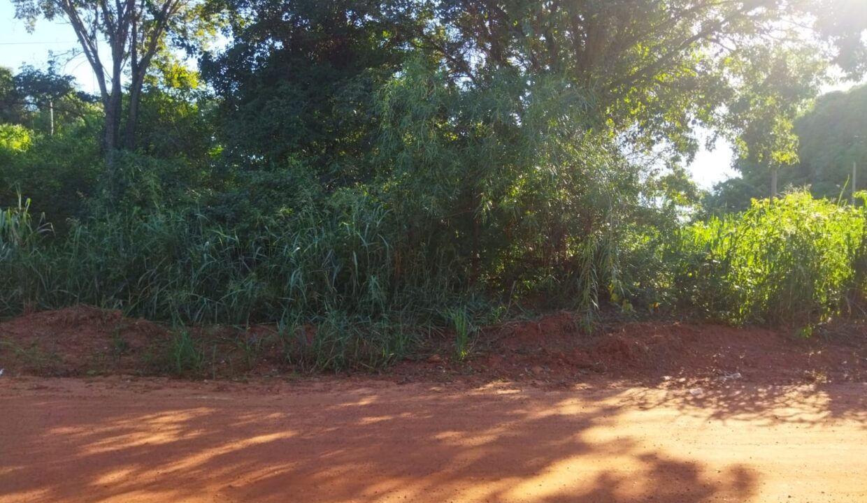 WhatsApp Image 2024-04-25 at 09.26.31 (3)