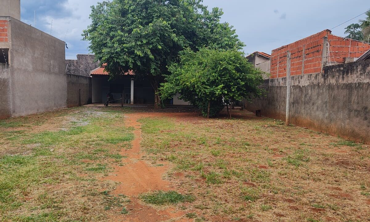 WhatsApp Image 2025-02-26 at 11.46.11