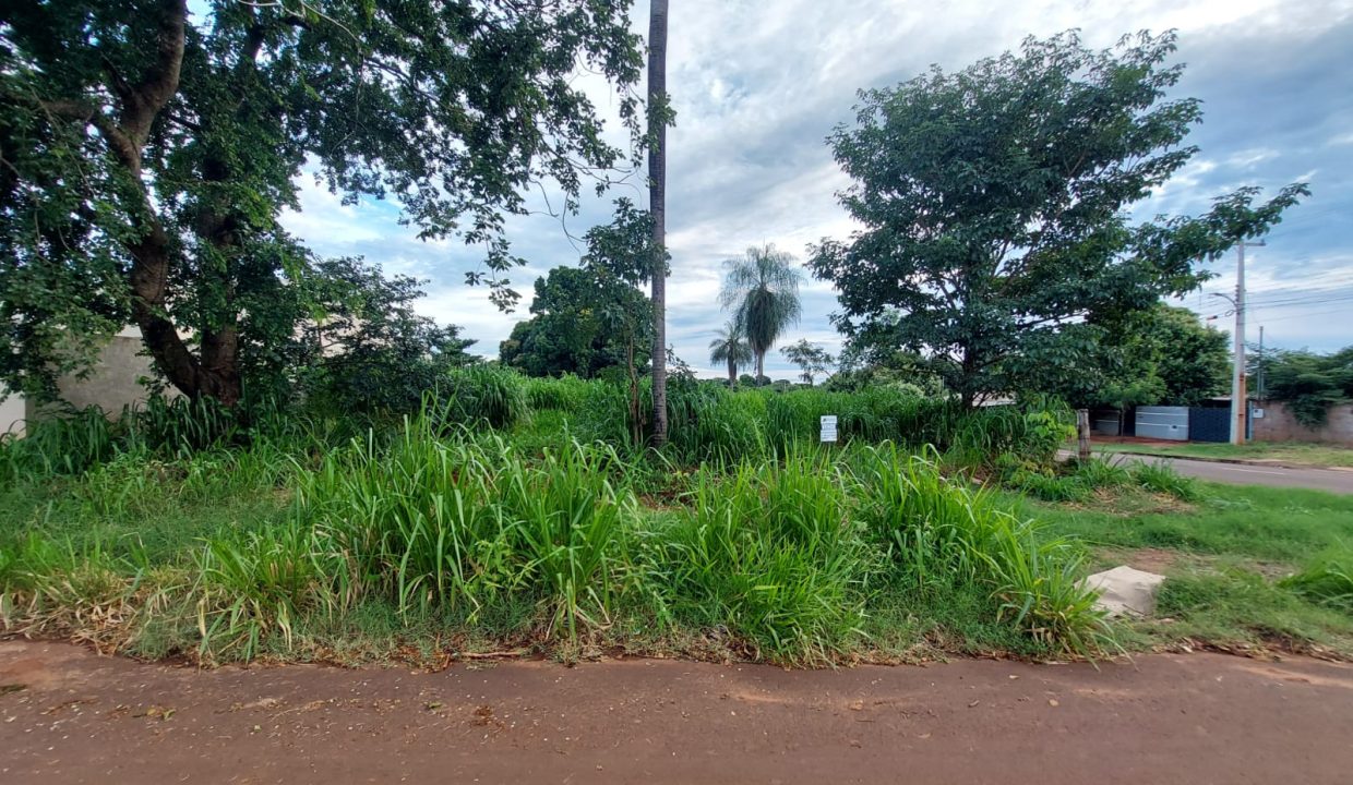 WhatsApp Image 2026-03-18 at 17.30.25